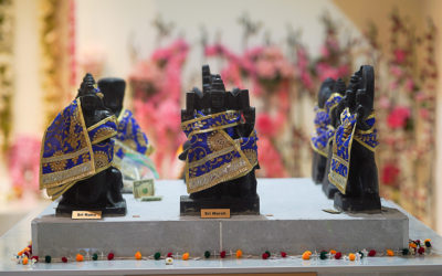 Significance And Importance Of Navagraha In Our Life